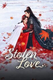 Stolen Love